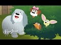 Pound Puppies - How Cranky Could They Get?