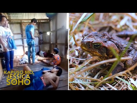 Video: May ngipin ba ang palaka at may mga ito ba ang palaka?