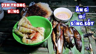 Thử Thách 72h Trong Rừng | Tìm Thức Ăn | Find food to survive in the forest
