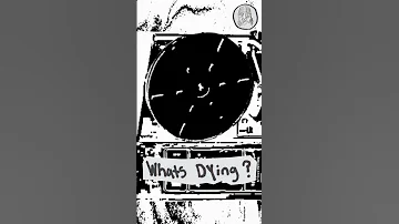 Mild Inflatables Museum | What's Dying ? |  #alternative #music #ambient #electronicmusic #edm