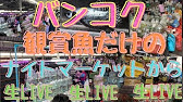 川のぬし釣り 秘境を求めて Part1 ぬし釣り プレステ 釣り 魚 海 川 Youtube