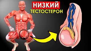 8 Самых Опасных Симптомов Низкого Тестостерона у Мужчин