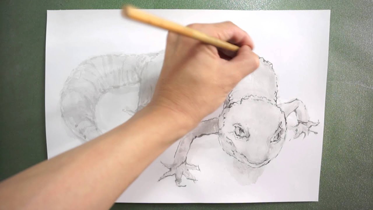 筆のイラスト描き方 絵の上達法を実演解説 ヒョウモントカゲモドキ How To Draw Leopard Gecko Youtube