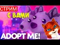 СТРИМ ОБНОВА В АДОПТ МИ РОБЛОКС | Adopt me Roblox | Смотрим обнову и общаемся