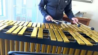 Danny Boy - Ed Saindon Solo Vibraphone
Solo vibraphone version of Danny Boy for St. Patricks Day. Danny Boy - Ed Saindon Solo Vibraphone