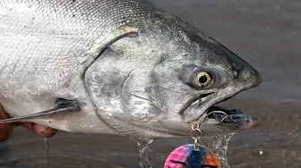 I Fished for Salmon for 7 Days, and Here's What Happened - 360 Madness Short Film