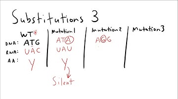 Homework Helper: Substitution Mutations