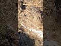Magnesite veins - @danieleprospector #minerali #minerals #mineralogy