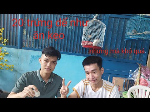 Thử thách ăn 20 trứng vịt sẽ như thế nào cùng team Phương Sơn Đạt # Sơn Phương Đạt