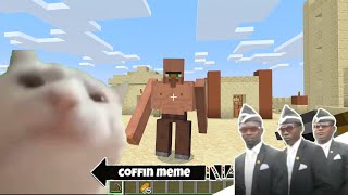 Coffin Meme but Cat is Vibing Part 3  Minecraft