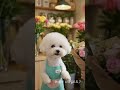 🌸꽃보다 코비🌸 Kobi Becomes a Florist!