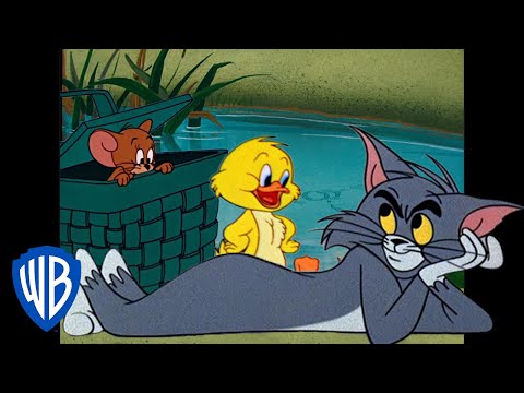 Which animated cat is known for chasing a mouse named Jerry?