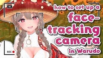 How to make a smooth face-tracking camera in Warudo using Feline