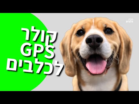 קולר GPS לכלב | מכשיר איתור לכלבים ב-162 ש"ח בלבד | צ&rsquo;יפ מיקום לכלב לטיולים ולמקרה שהכלב ברח או נגנב