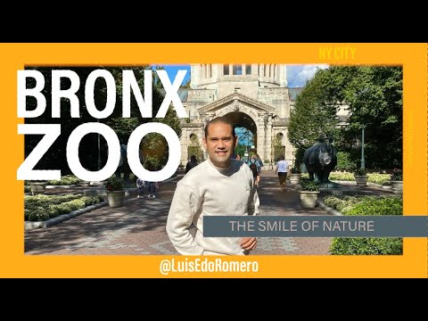 BRONX ZOO, LA SONRISA DE LA NATURALEZA