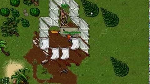 Sistema NPC Automático - Absolute - www.tibiaking.com