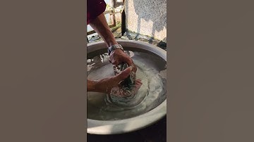 Người đàn ông cứu con cá chép bị say nắng