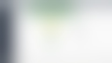 [SOLUTION] Defend The Web Library Gateway/Realistic 2020