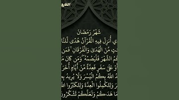 #قران_كريم_راحة_نفسية #عبد_العزيز_سحيم #القران_الكريم #الشيخ #القارئ #قرآن #عبدالرحمن_سعد #fypシ゚