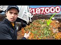 Turning food scraps into cash