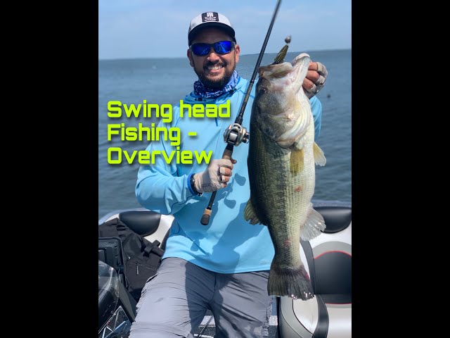 Fishing a SWING HEAD or JOINTED STRUCTURE HEAD, TOP 3 baits for it