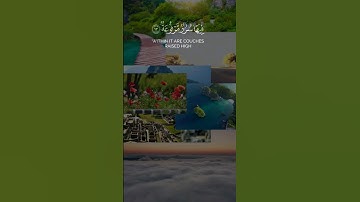 سورة الغاشيه || #quran #اكسبلور #quranicinspiration