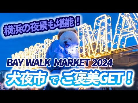 【犬好きの楽園】横浜の犬夜市2024に行ってきたよ!【ビションフリーゼ】