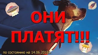 ЛУЧШИЕ проекты лета 2018!