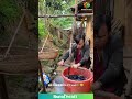 NO Washing Machine? This ANCIENT Hack Cleans Clothes Like MAGIC! 🤯 #lifehack #DIY #shocking #viral