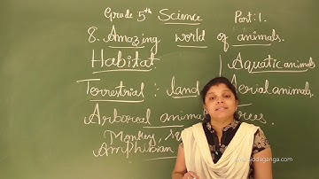CBSE 5 - SCIENCE - AMAZING WORLD OF ANIMALS - PART 1