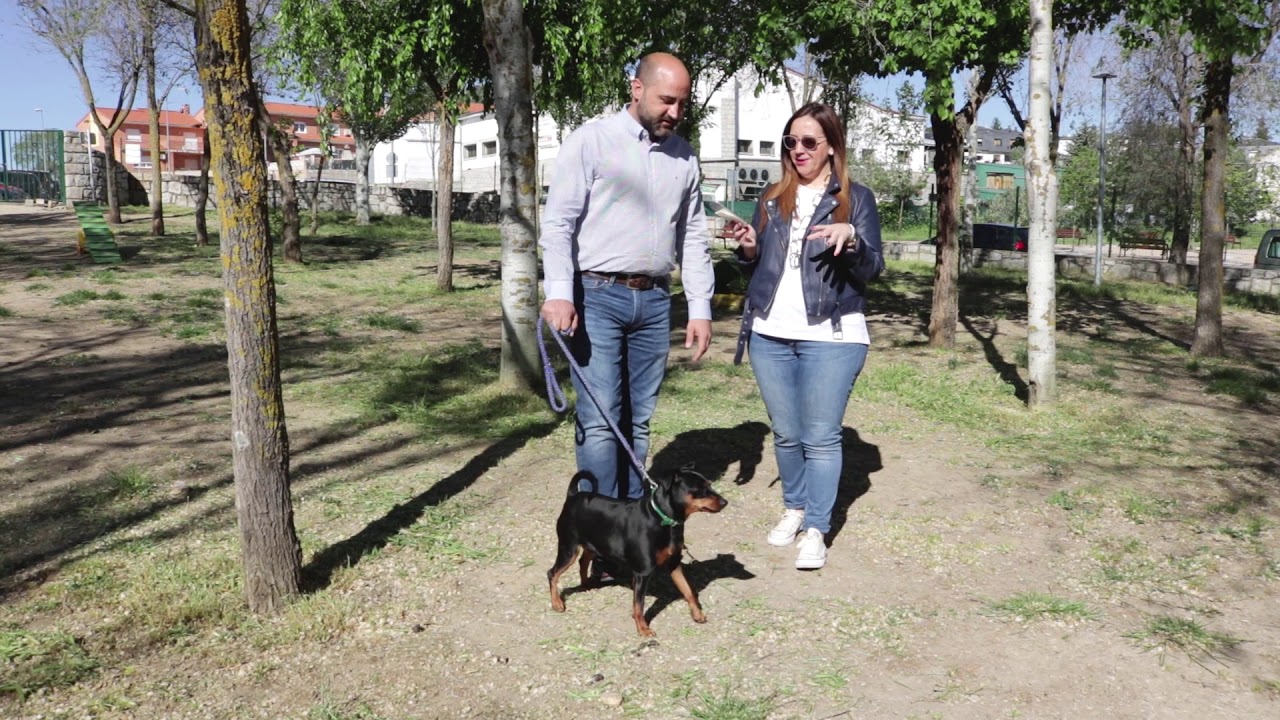 Entrevista Alcalde de Colmenar Viejo. Candidatura 2019 ...