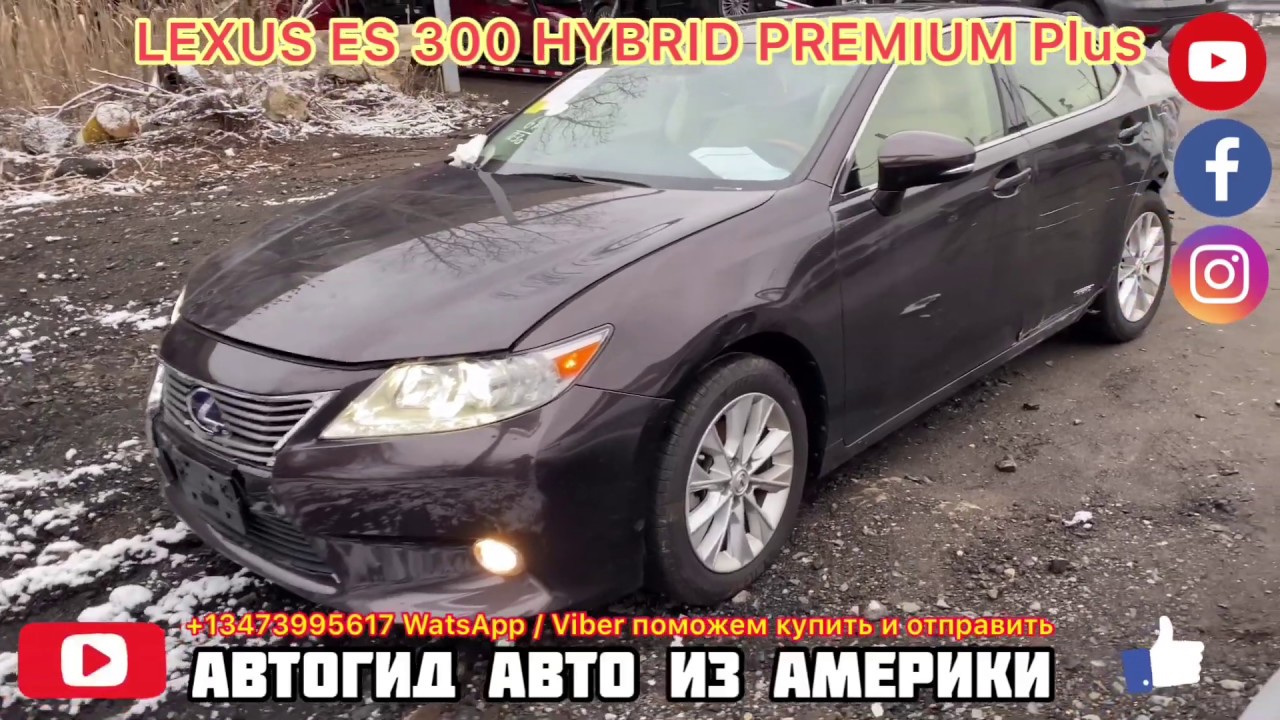 Джетта из америки