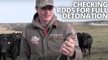 How To Check Your Pneu-Dart RDD Device For Full Detonation