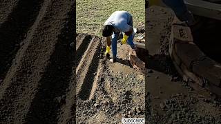 Kuaa Digging to Farming Transformation | Well Construction &amp; Organic Farming Timelapse (Hindi)