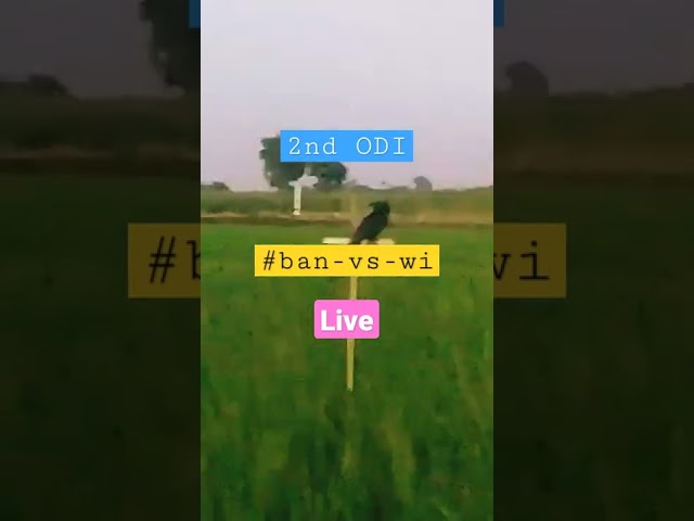 #banvswi2022  #live https://www.facebook.com/100067173265244/videos/355945303354336/?app=fbl class=