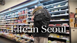 Life in Korea | PLANNING TRIP TO AMERICA 🇺🇸🦅 , snow duckies, personal training, rambling