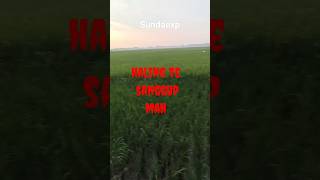 Download Lagu haling ku aing #youtubeshorts #shorts #youtube #sunda #urangsunda MP3