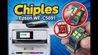 Epson WF-C5891 Chipless Solution | Solución definitiva para cartuchos compatibles |Sistema Continuo