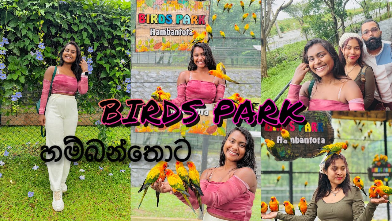 හම්බන්තොට birds bark 🕊️❤️✨ |Asia’s largest birds park | Sri Lanka| Vlog 2