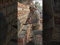 monkey bhai majduri Karta hai #ai #funny #trending #viral #aivideos #youtubeshorts #funnyanimals