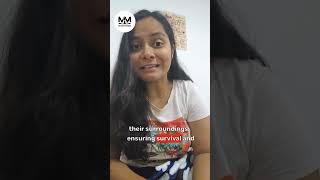 181 A4.1 Quiz Introduction To Evolution By