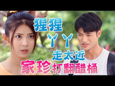 機智校園生活 青春向前衝 | EP05精彩回顧 猩猩丫丫走太近 家珍打翻醋桶 | TVBS 42台