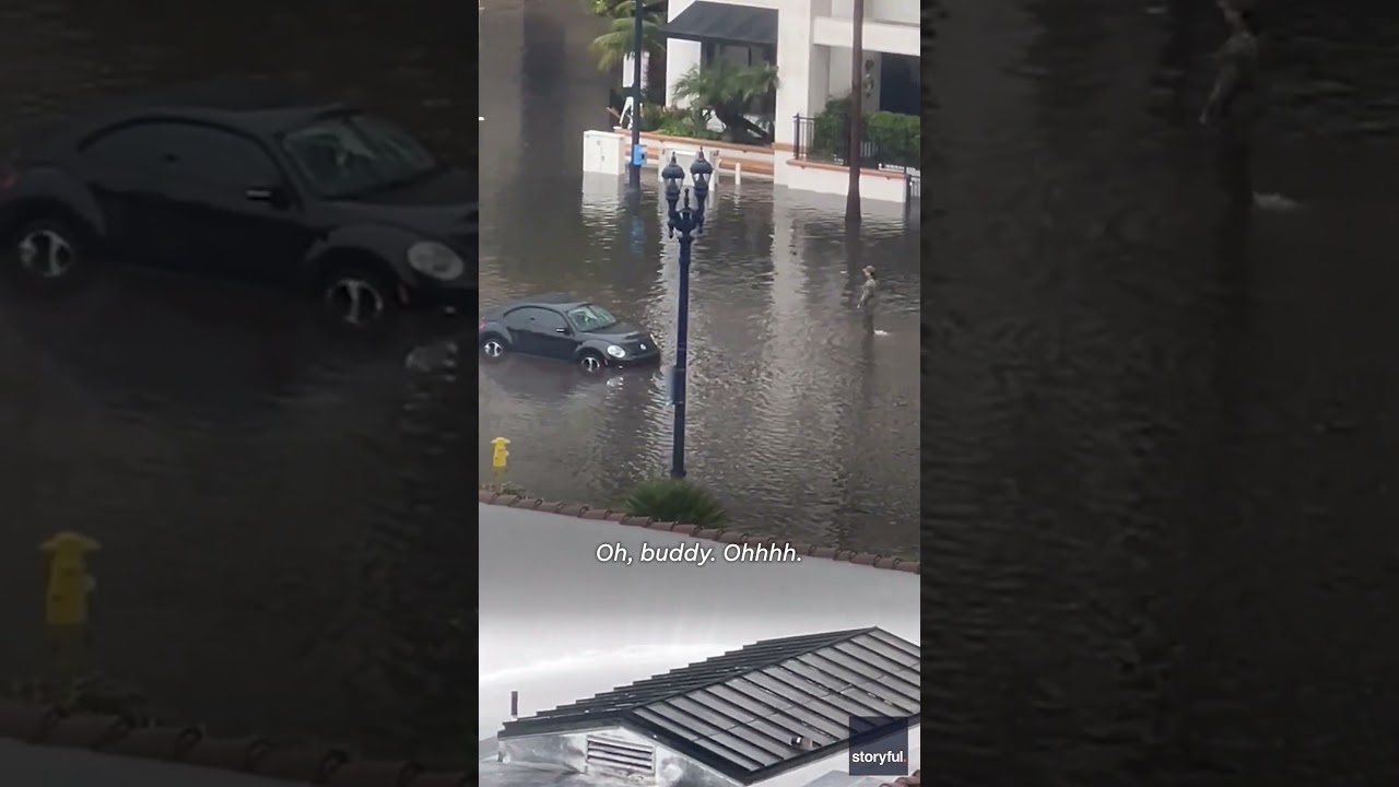 Unbelievable! Tesla plows through deep waters in San Diego leaving bystanders in shock #Shorts