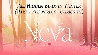 Neva All Hidden Birds | Winter Part 1 | Curiosity