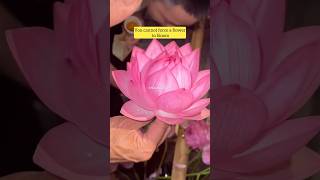 This isn't about flowers 🔥#motivation #quotes #shorts #trending