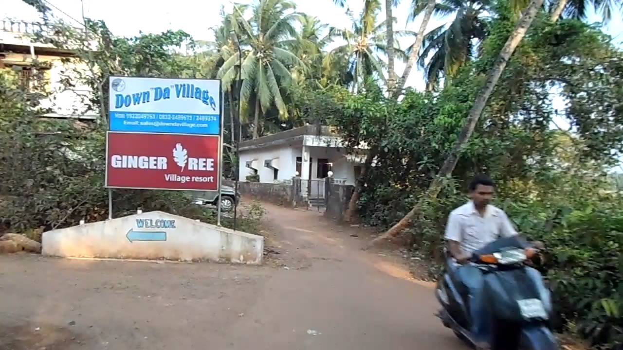 Back to the Ginger Tree