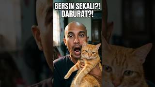 My cat sneezed once, and I panicked to death 😭🐱