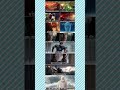 Vision’s Tragic Fate 💔 | Wanda vs Thanos Edit | Marvel Multiverse Chaos