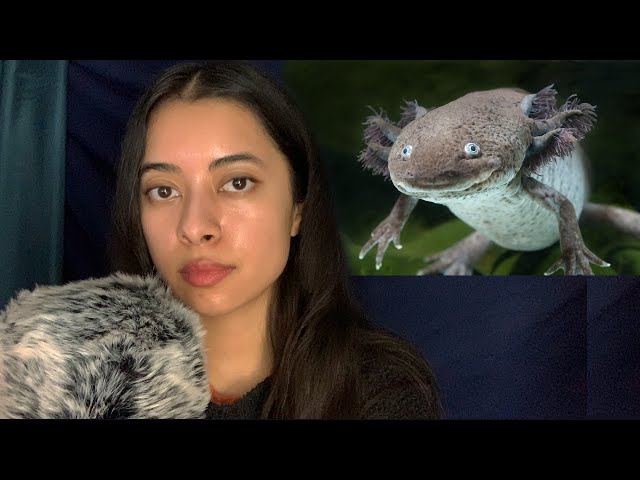 ASMR disturbing animal facts #2