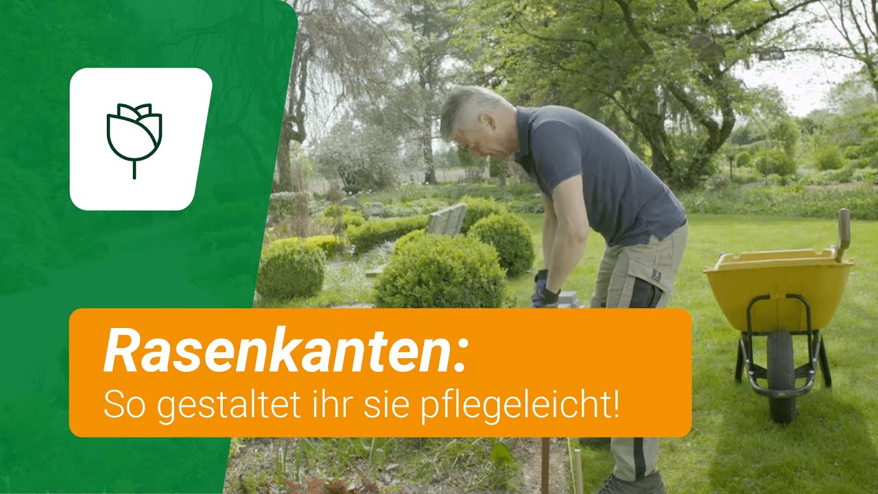 Tipps für eine pflegeleichte Rasenkante